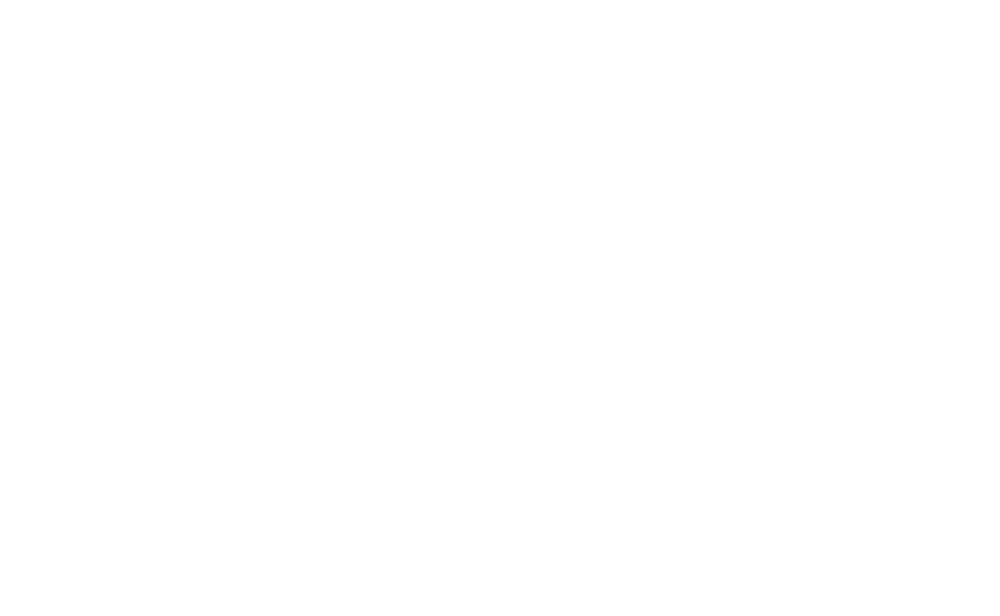VIGEON AI